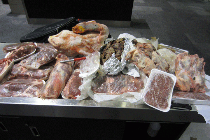 埃及旅客攜帶27公斤生肉進入加拿大被沒收