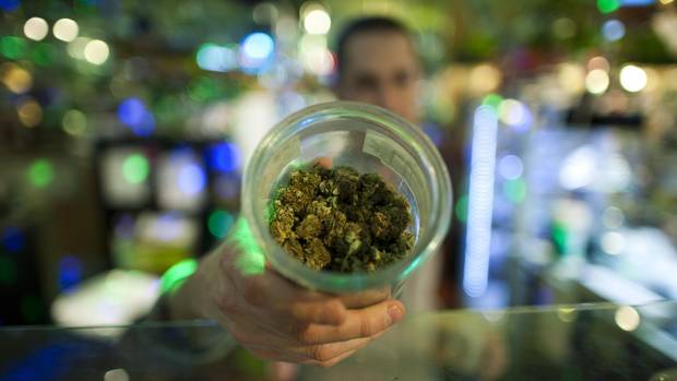 溫哥華領先全國 發牌管制大麻店