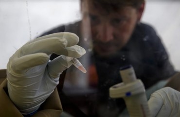 美軍誤將致命炭疽桿菌寄給加拿大實驗室