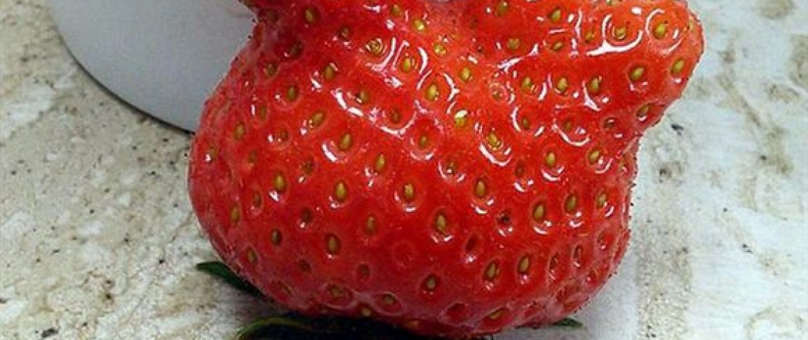 英國惊現雞形草莓：這些蔬果都“成精”了