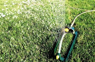旱情嚴重：今天起大溫地區禁止用自來水噴頭澆草坪