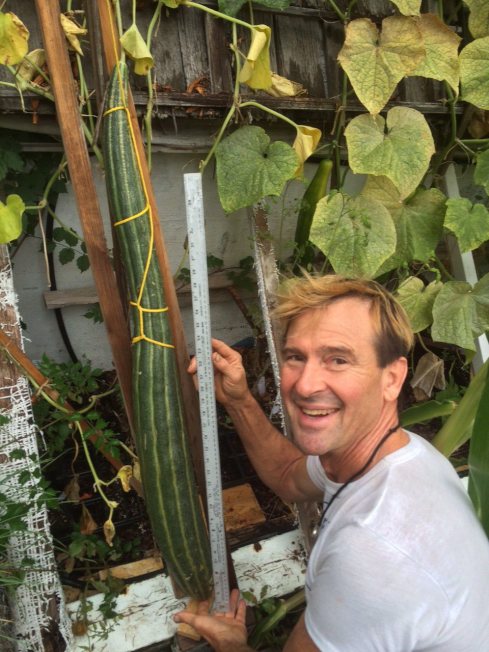 Kelowna男子種出113厘米全世界最長青瓜