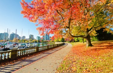 氣象學家預測 11月天氣或較暖