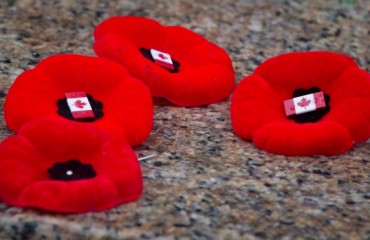 加拿大阵亡将士纪念日 79%加拿大人将佩戴红色虞美人花