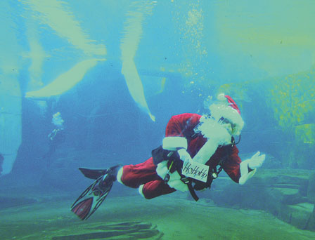 水族館啟動水下熒光聖誕 圣诞老人潛水與白鯨共舞
