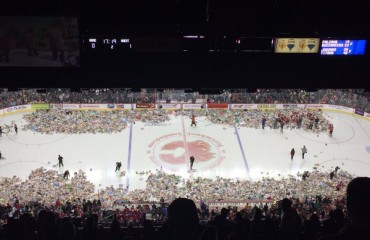 上萬名觀眾在加拿大冰球比賽中擲出近3萬玩具熊！