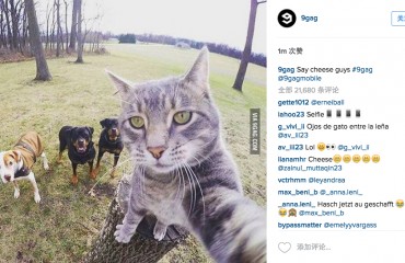 貓咪與狗朋友玩自拍網上按贊人數破百萬