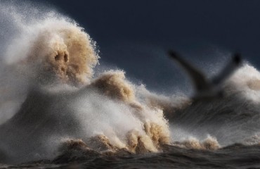 組圖：極端天氣引發加拿大伊利湖驚濤駭浪