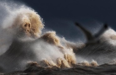 組圖：極端天氣引發加拿大伊利湖驚濤駭浪