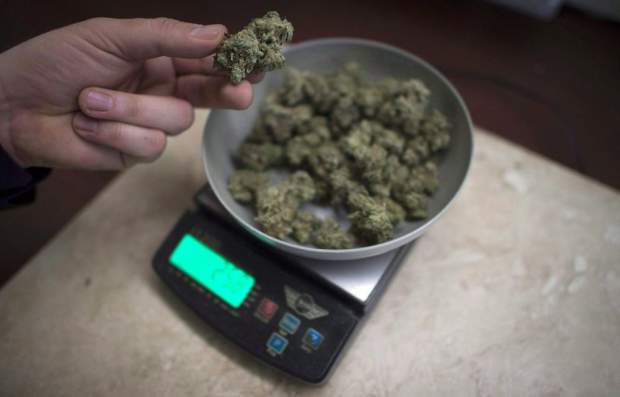 聯邦法庭准许病人在家自種藥用大麻